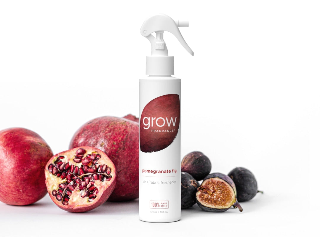 Pomegranate Fig Air + Fabric Spray (featured)