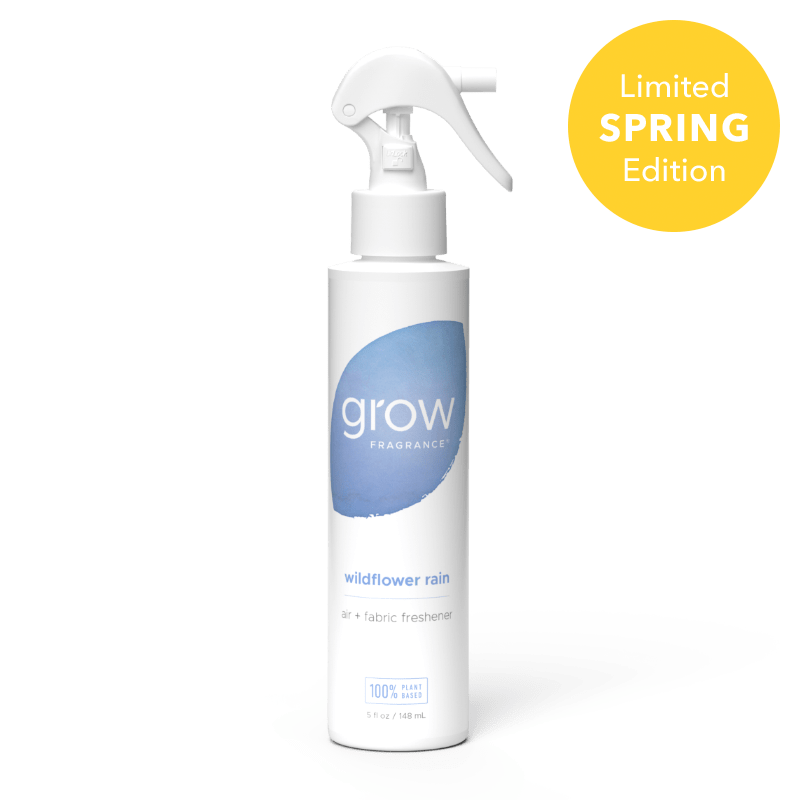 The Best Non-Toxic Car Air Freshener of 2024 – Grow Fragrance